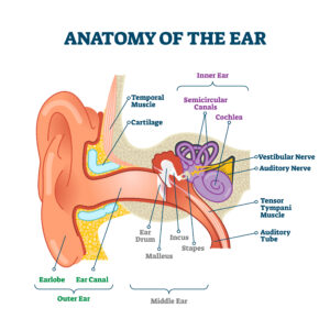 Ear Care