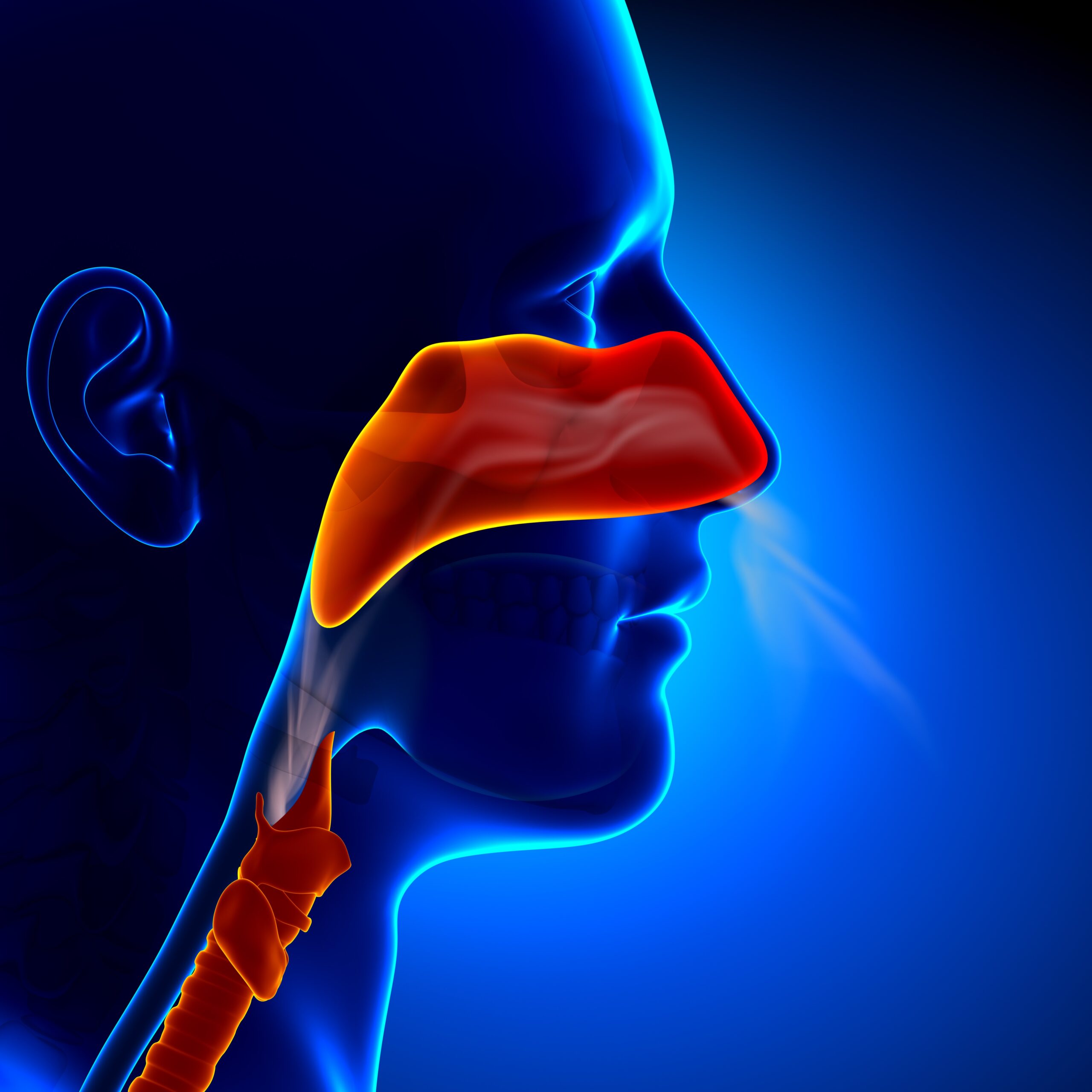 Ressources Sinus Et Allergies NeilMed Pharmaceuticals French Ressources sinus et allergies neilmed pharmaceuticals french