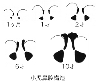 Baby Anatomy